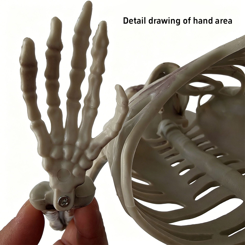 Ornamento a forma di teschio e - Halloween Skeleton Decoration recensione e prezzo